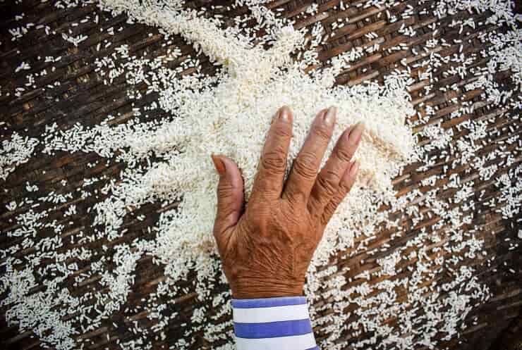 تصویر 2 از قیمت خرید برنج هاشمی شمشیری عمده به صرفه و ارزان